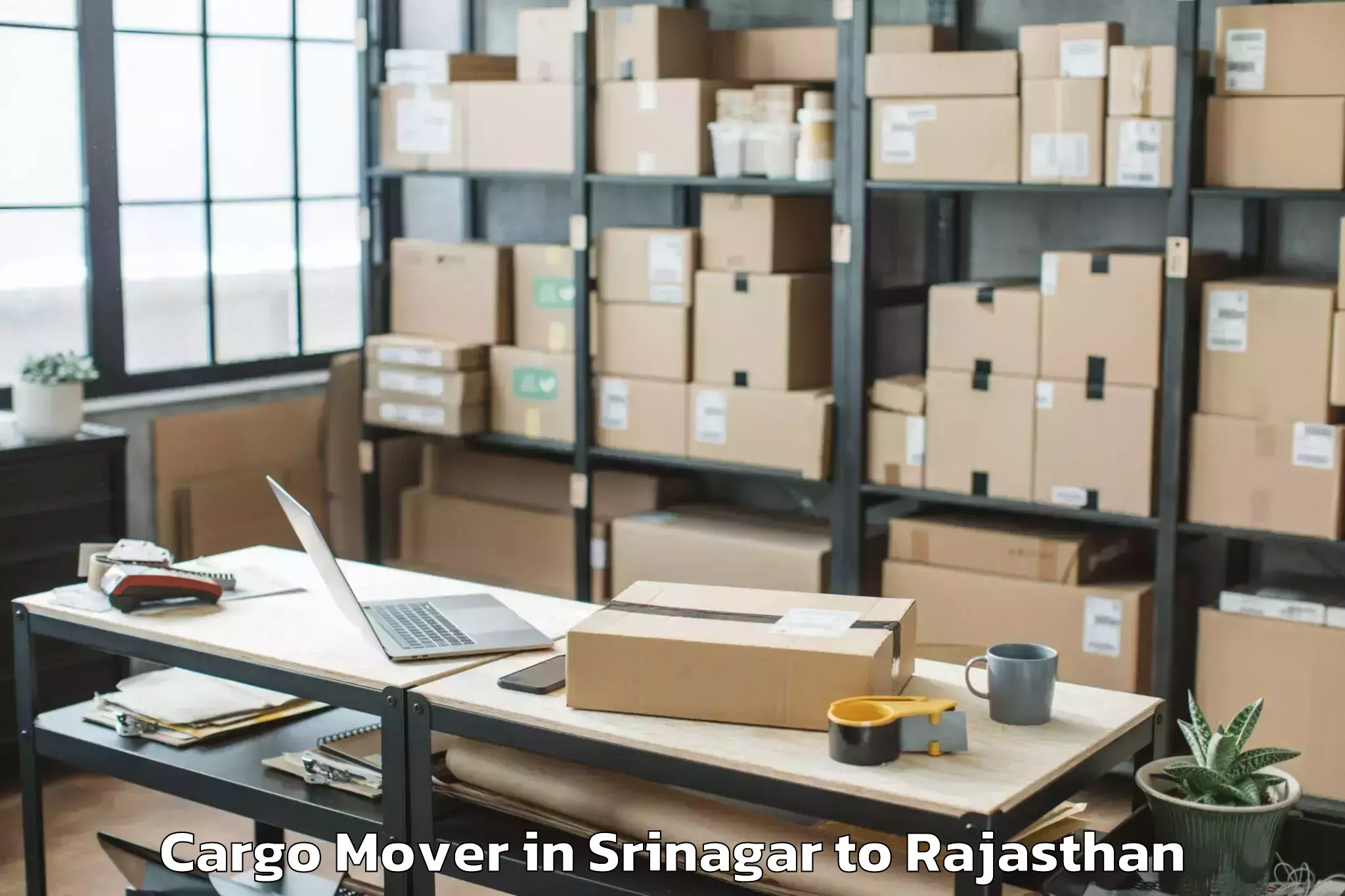 Efficient Srinagar to World Trade Park Mall Jaipur Cargo Mover